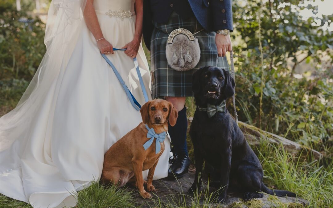 How To Include Your Pet In Your Ceremony