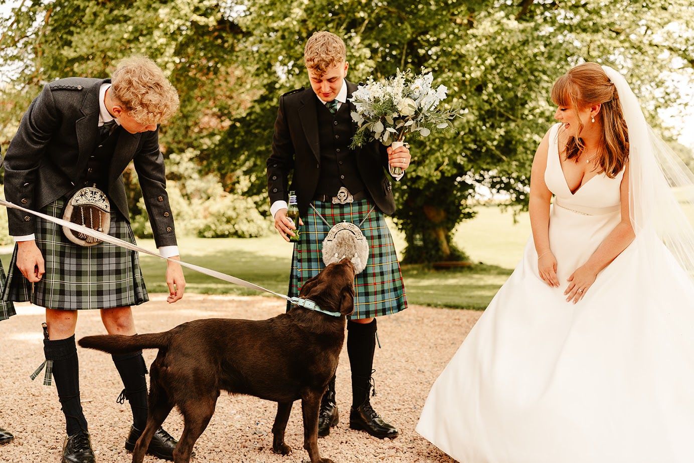 including your pet in you ceremony with the celebrant angel aberdeen humanist weddings aberdeen